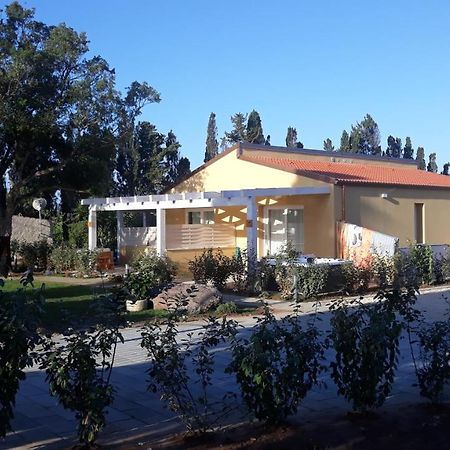 Azienda Agricola I Peperoncini 阿尔盖罗 外观 照片