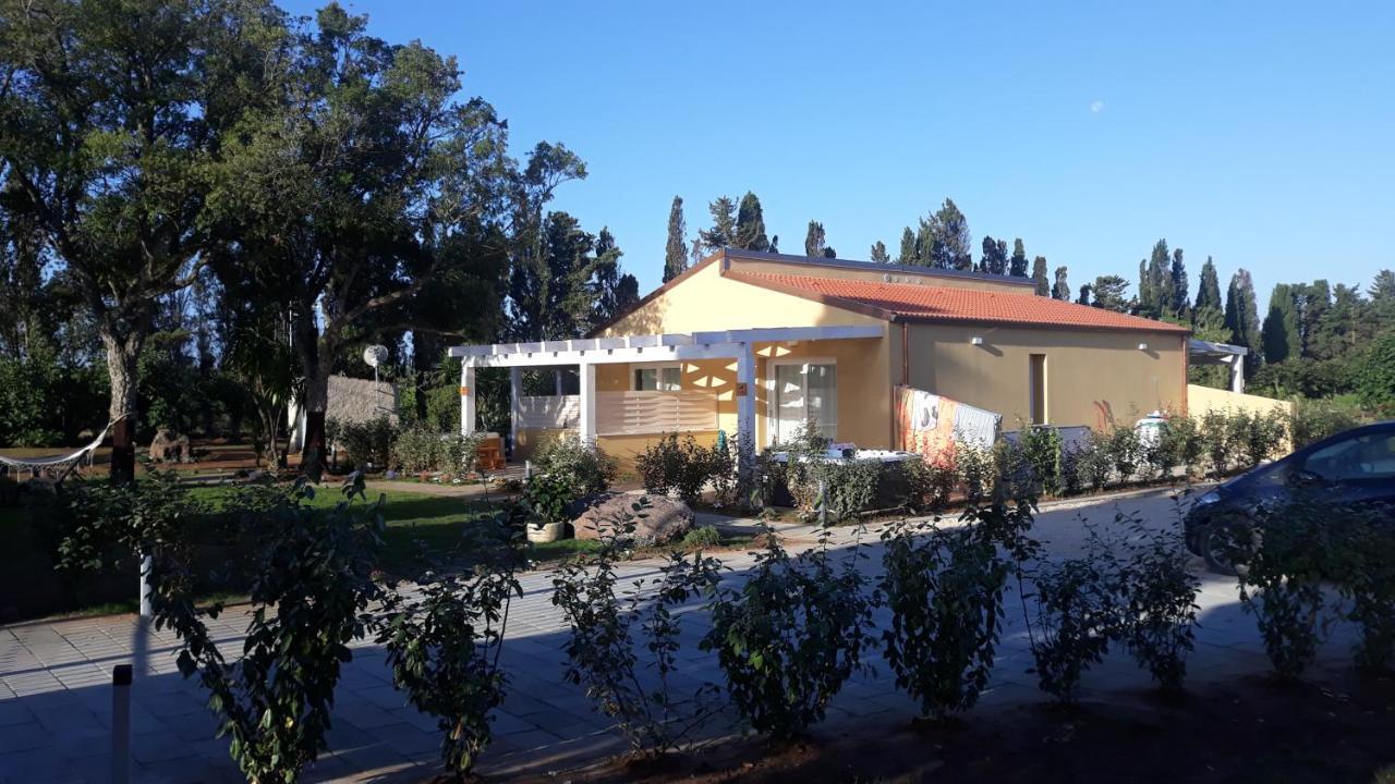 Azienda Agricola I Peperoncini 阿尔盖罗 外观 照片