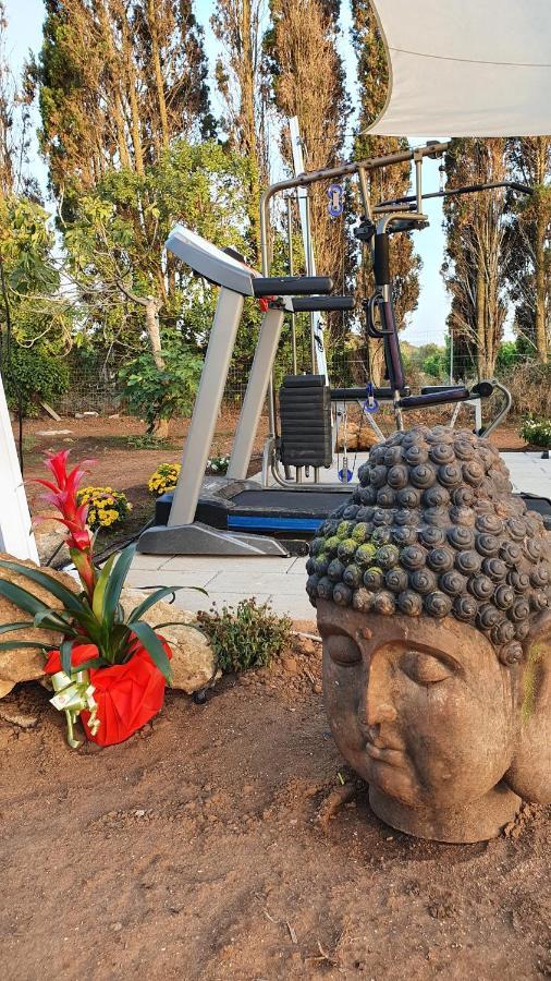 Azienda Agricola I Peperoncini 阿尔盖罗 外观 照片